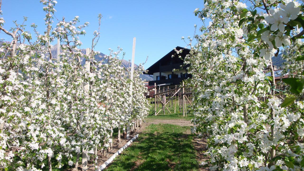 Pension Appartment Hecherhof Merano Eksteriør billede